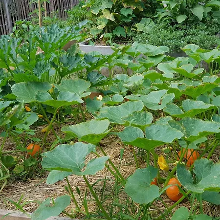 Chateau De Lalande - Teritoria - Perigueux 4*