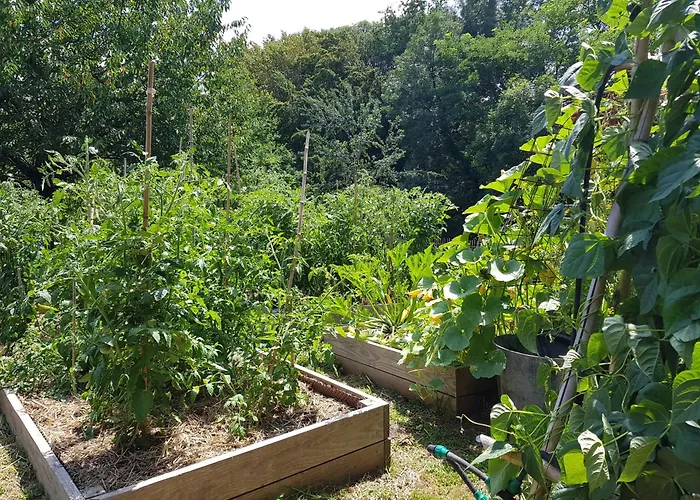 Hotel Chateau De Lalande - Teritoria - Perigueux Annesse-et-Beaulieu