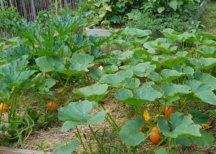 Chateau De Lalande - Teritoria - Perigueux 4*